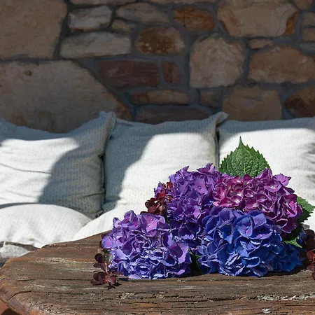 Сasa de vacaciones El Currillo *