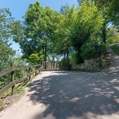 El Currillo * Argomilla