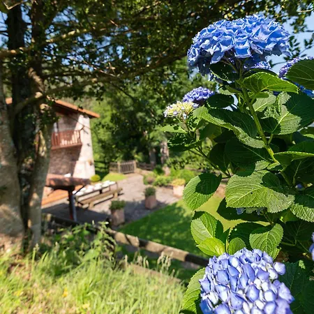 El Currillo * Argomilla